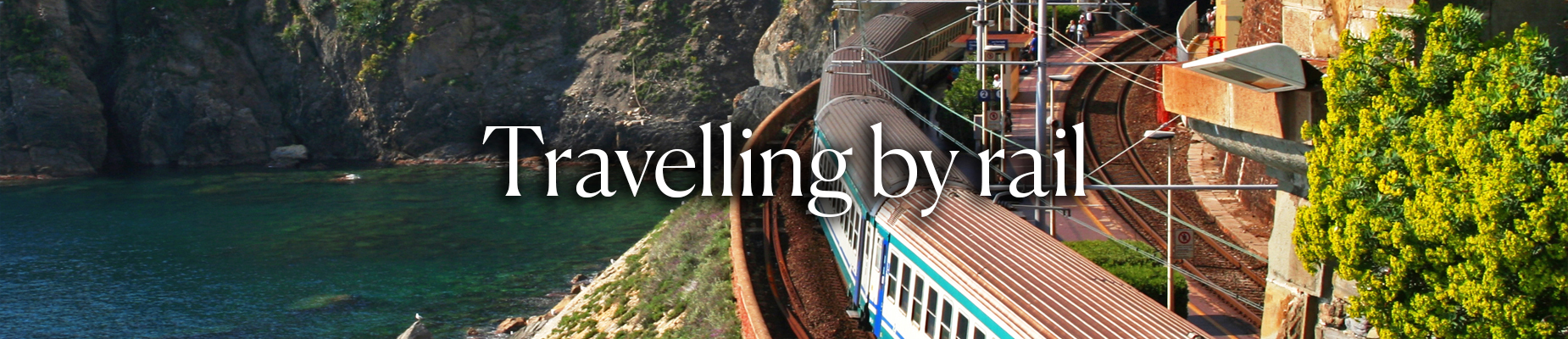 train-banner.png