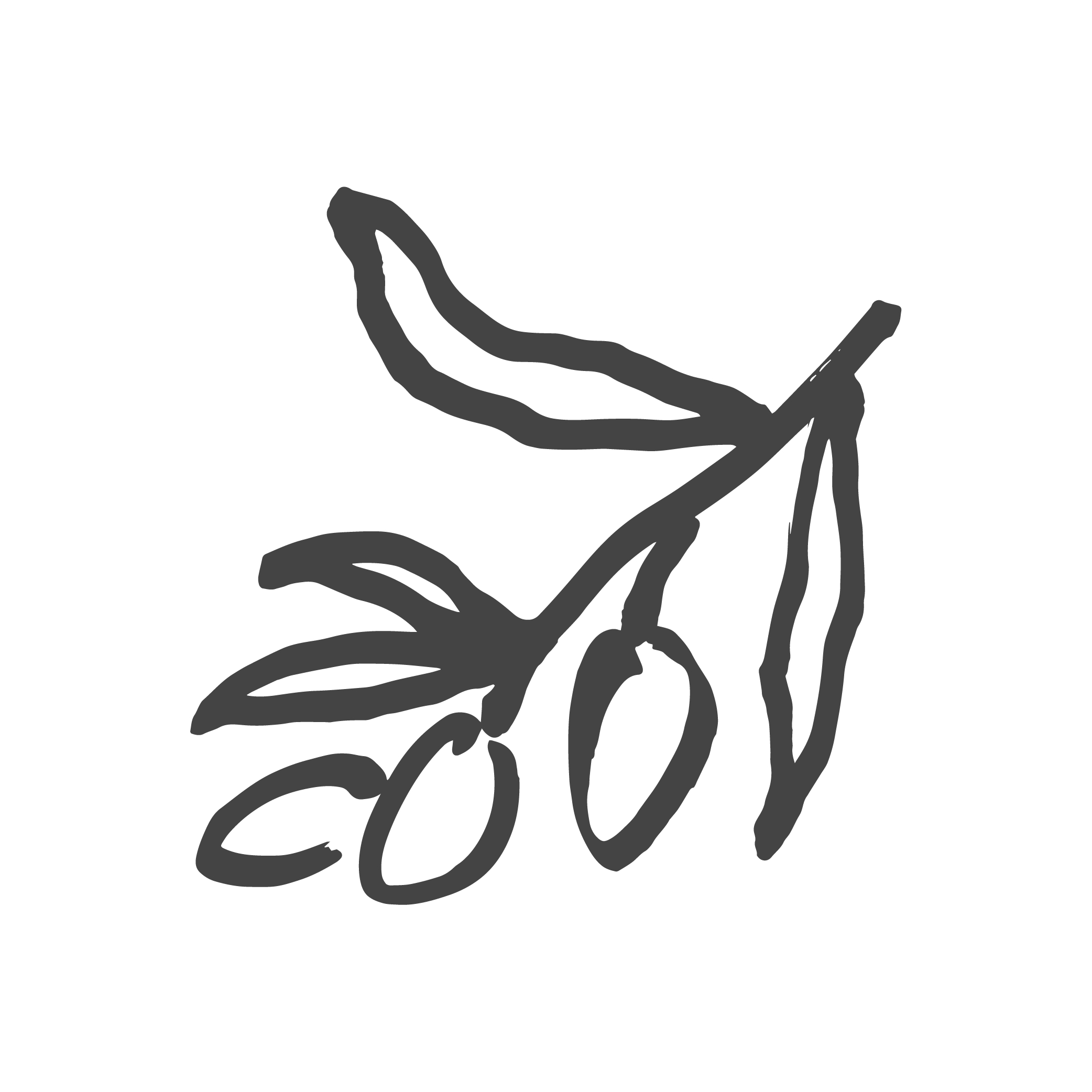 Inntravel_Illustration_RGB_Charcoal_Olive-branch.png