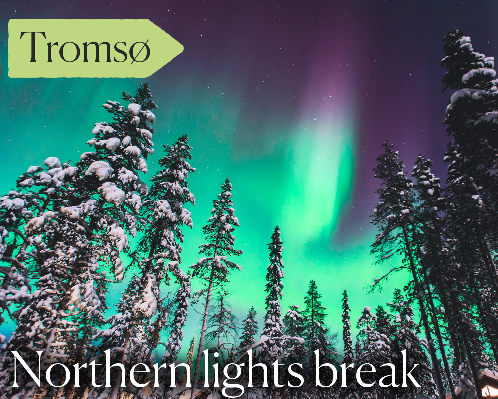 northernlights-(2).jpg