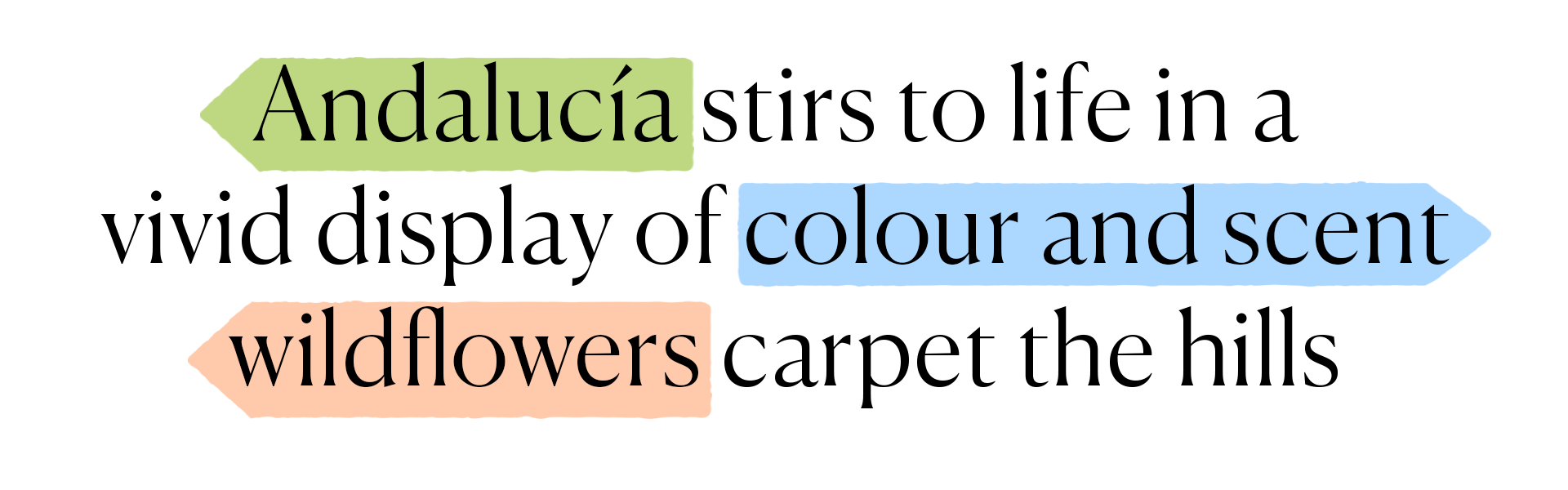 branded-text-sicily-wonders.png
