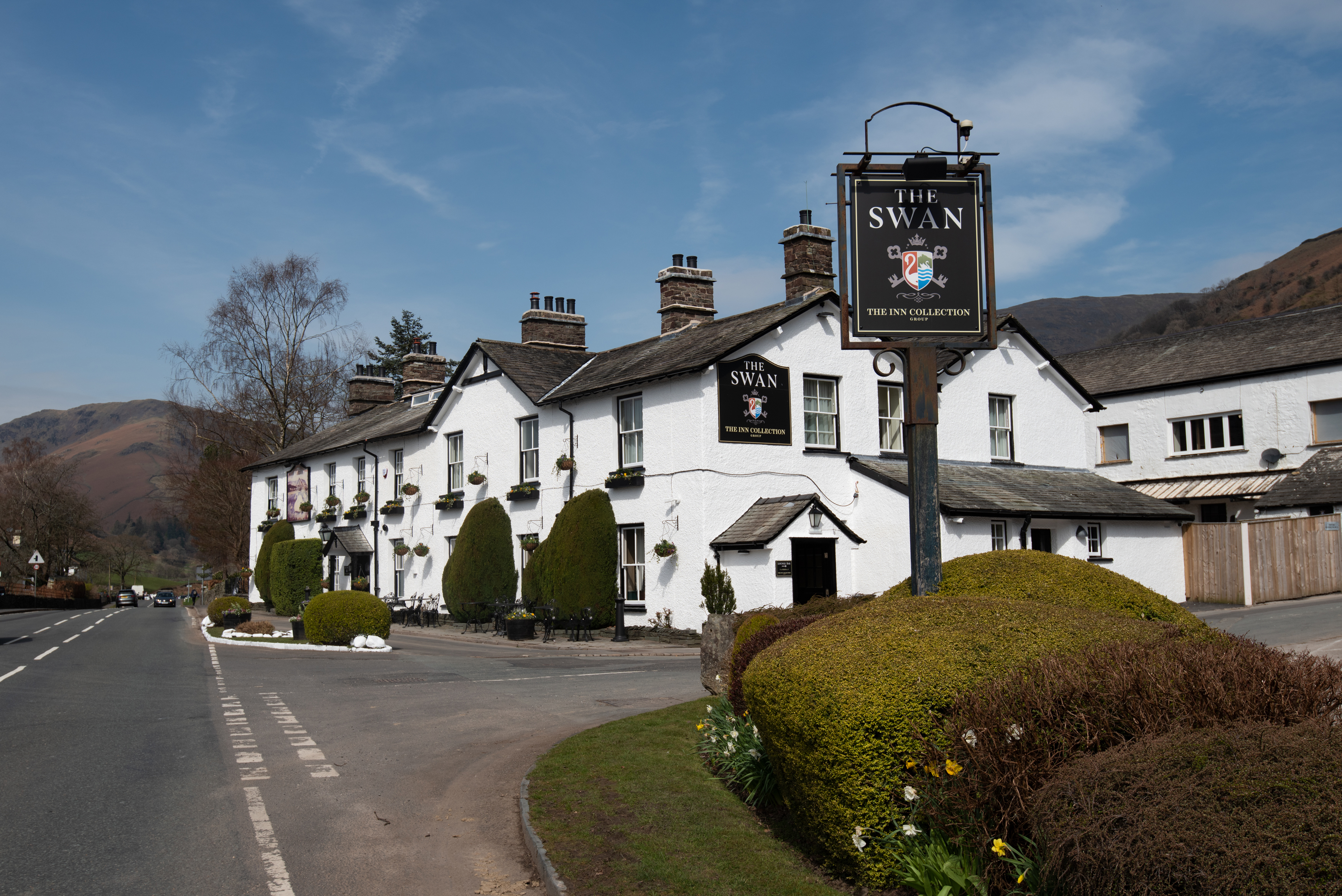 The Swan