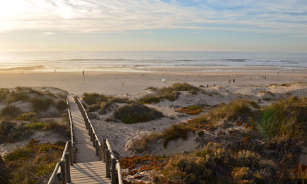 Coastal paths and landscapes of the Algarve in winter