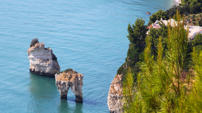 Wildflowers in spring time near Torre del Serpe Wildflowers in spring time near Torre del Serpe