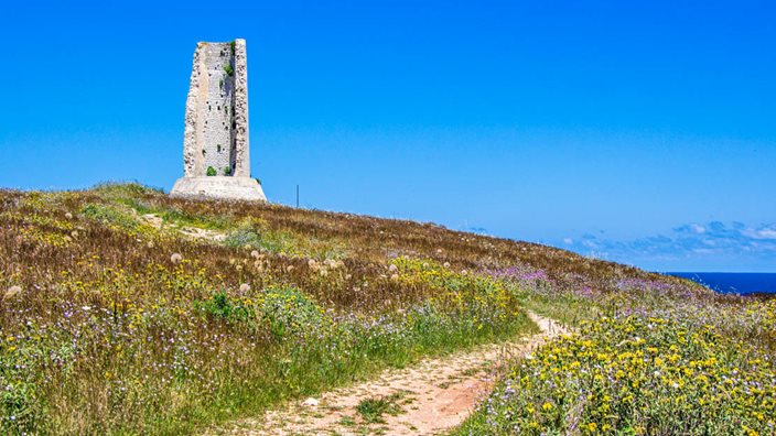Wildflowers-in-spring-time-near-Torre-del-Serpe.jpg