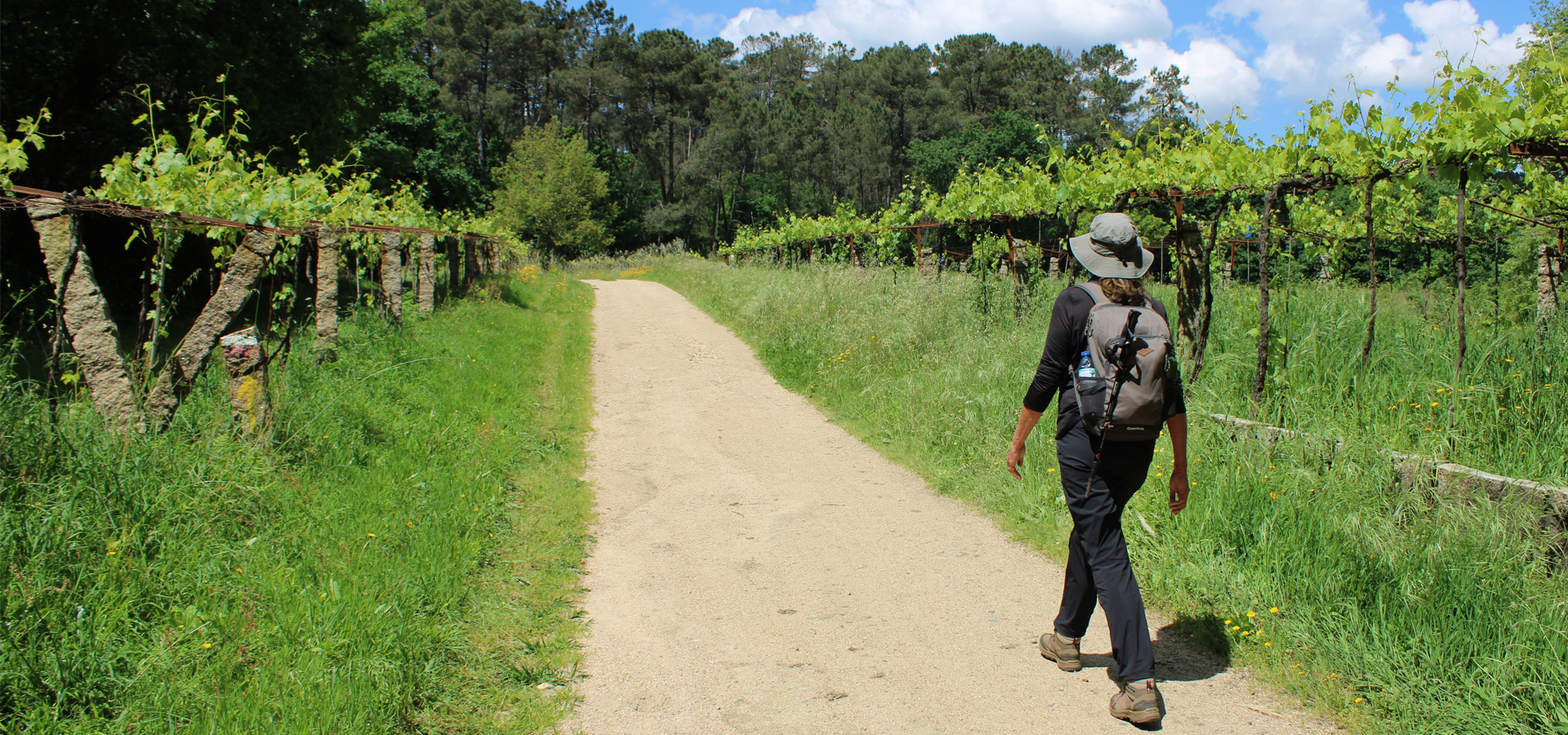 Walking the Camino de Santiago