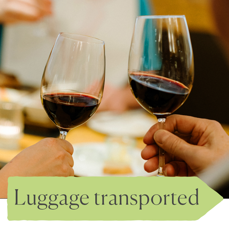 luggage-Copy.jpg