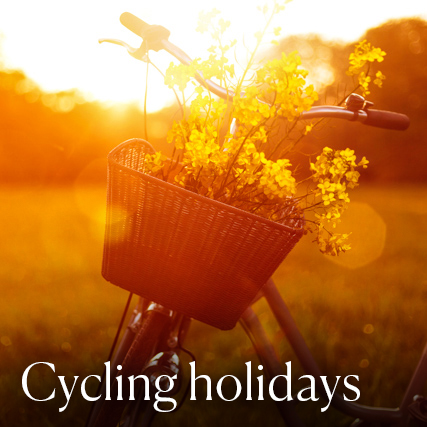 cycling-22-new.jpg
