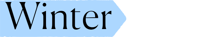 Glacier Express Winter