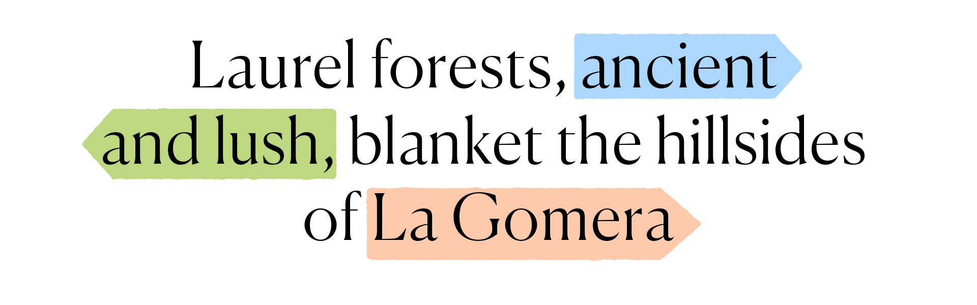 branded-text-amalfi-coast.png