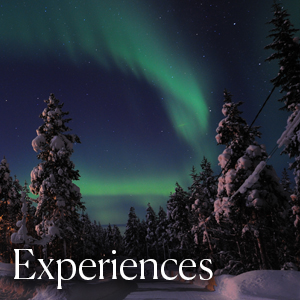 experience.jpg