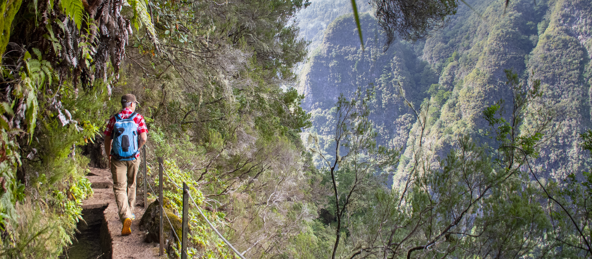 Madeira scene
