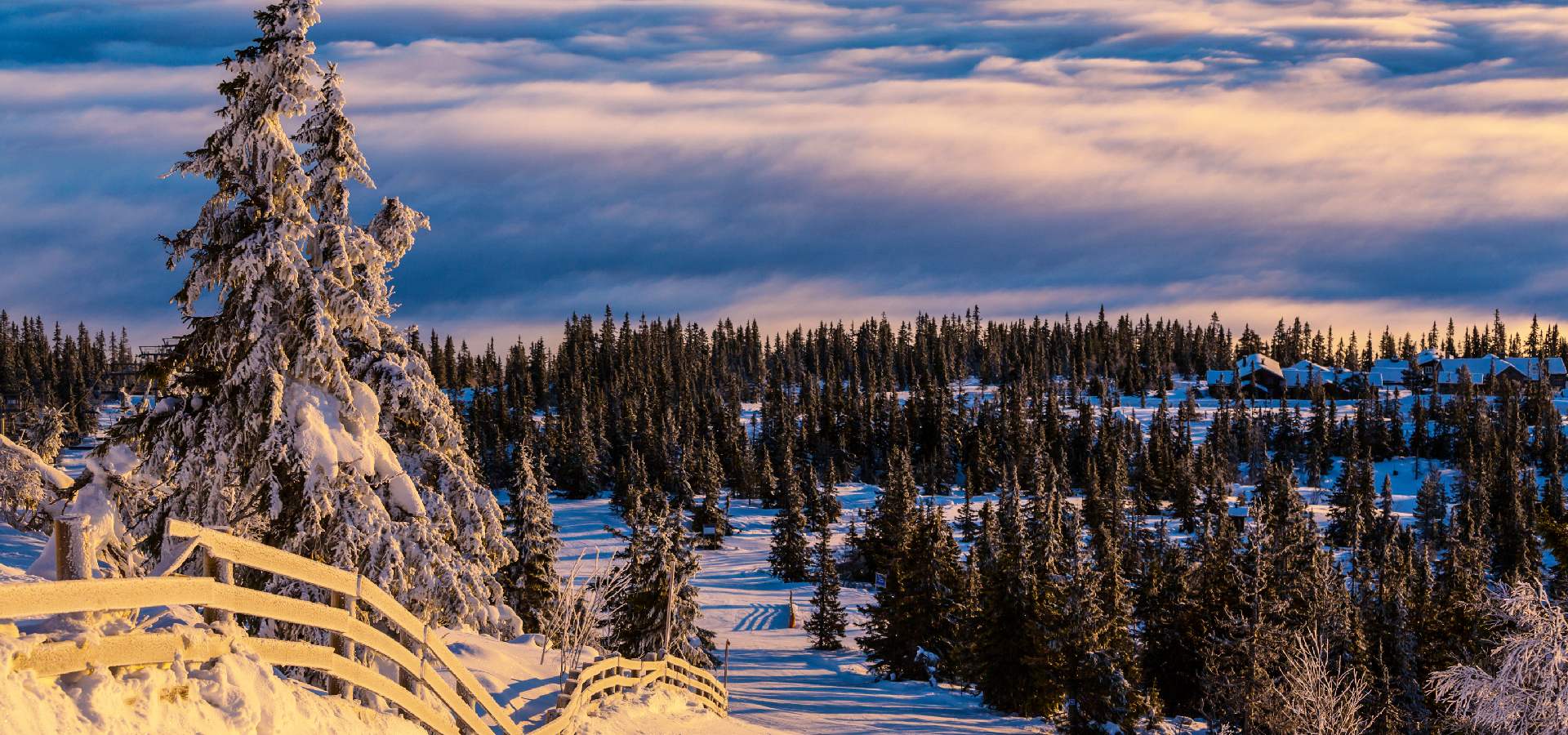 Panoramic view above Voss, Norway – early summer hiking landscape with mountains and fjord
