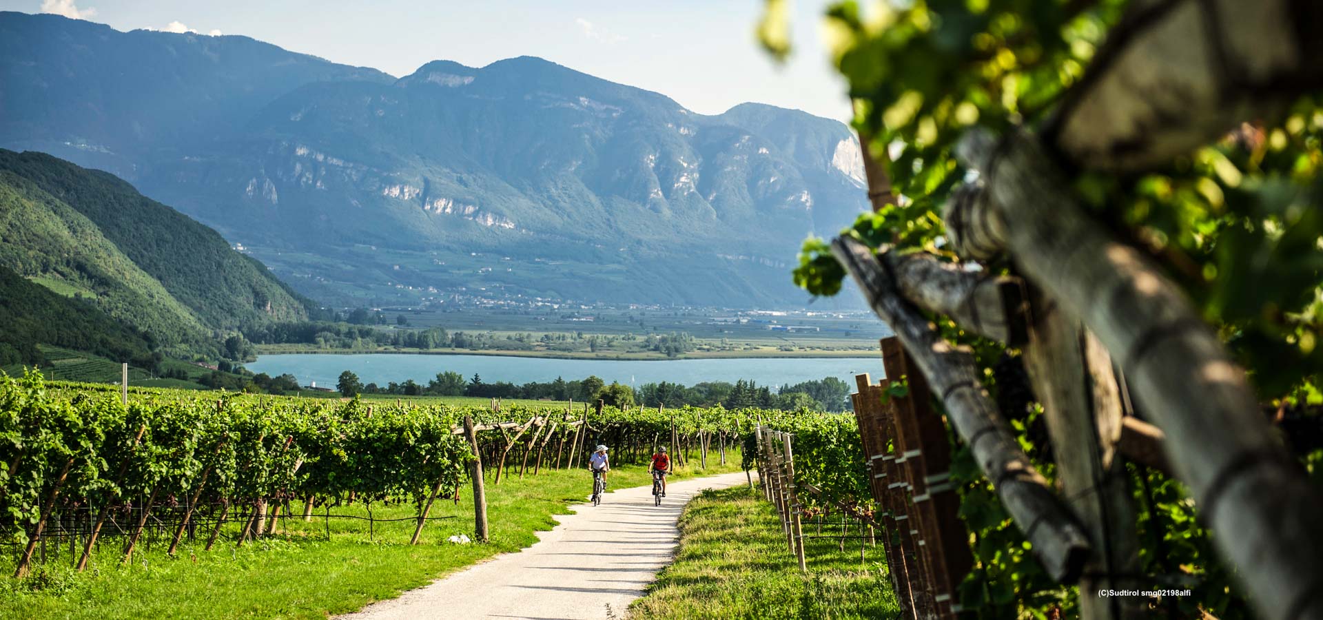 cycling-in-south-tyrol-orchards-vineyards-inntravel