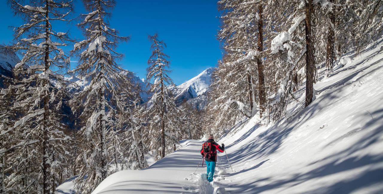 Alpine Traditions of the Engadine Valley